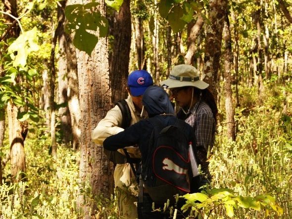 Environmental & Social Impact Assessment (ESIA) Environmental & Social Impact Assessment (ESIA)